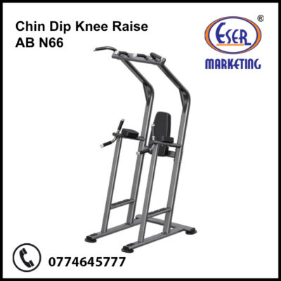 Chin Dip Knee Raise – AB N66